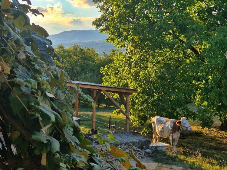 Casă individuală cu 5 camere cu Canalizare în Hoteni