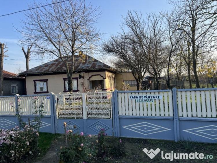 Imobiliare casa de vanzare Ulmeni, Calarasi - 3