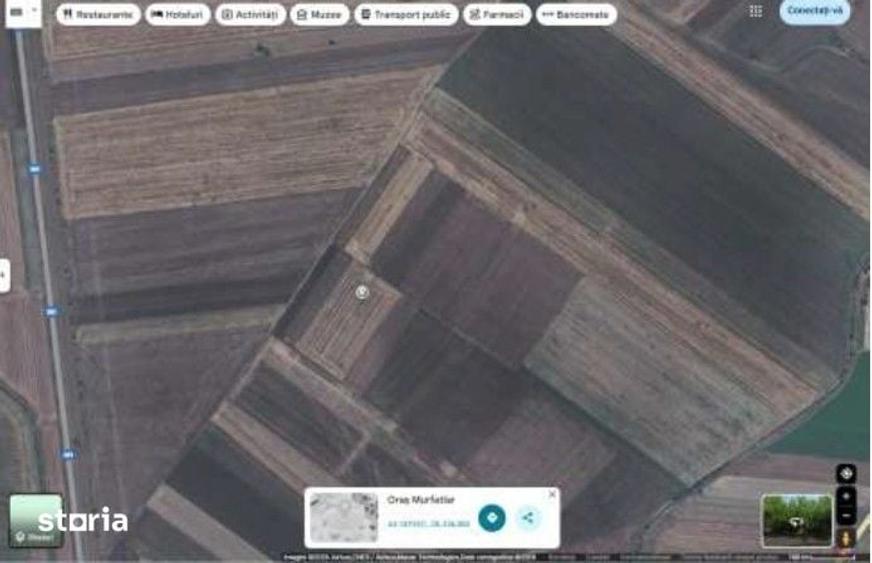Teren de 6000 mp, în Ciocârlia