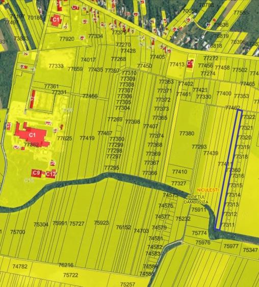 Teren intravilan construc?ii 9.600 mp Niculesti, Dambovita - 3