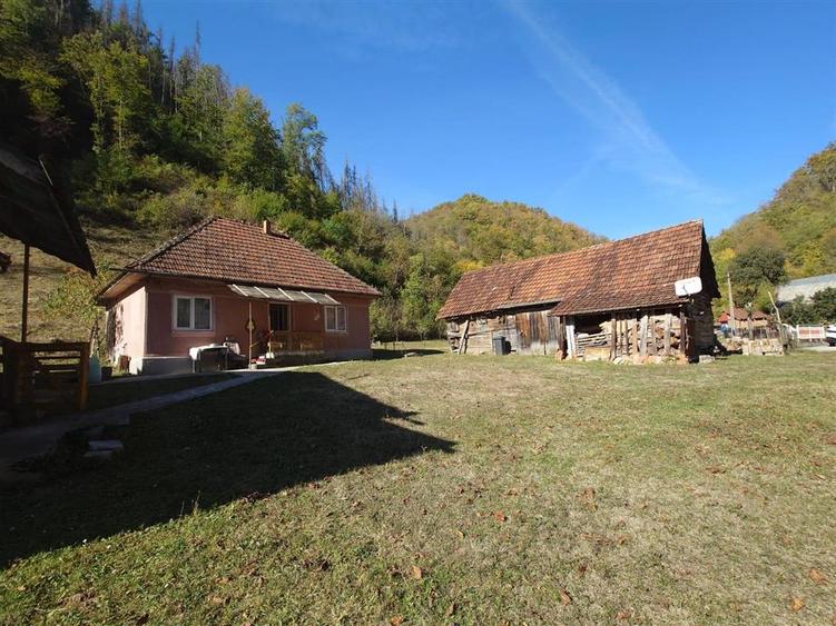 Casă individuală cu 4 camere cu Teren 7650 Mp în Mihăileni