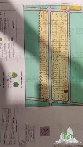 Teren Construcții intravilan de 40500 mp, în Frumușani
