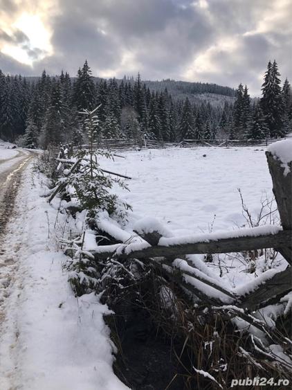 Teren de 6000 mp, în Panaci