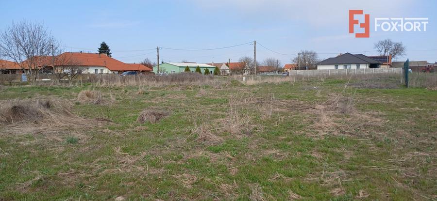 Teren Construcții intravilan de 798 mp, în Peciu Nou