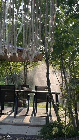 Birou cu piscina, curte si zona de relaxare - 12