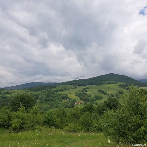 Casă cu 2 camere cu Teren 5600 Mp în Berislăvești
