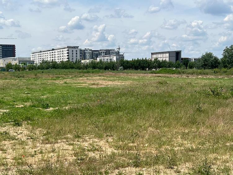 Teren Construcții intravilan de 23100 mp, în Theodor Pallady