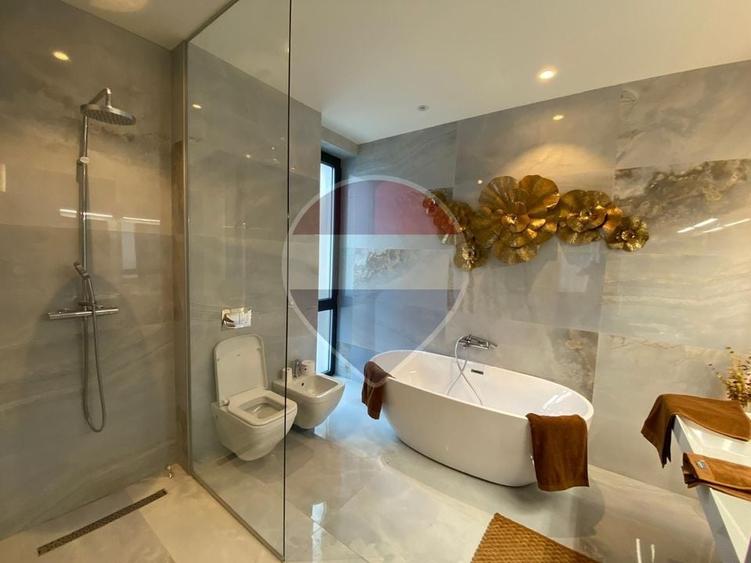Casă individuală cu 5 camere cu Piscina în Iancu Nicolae
