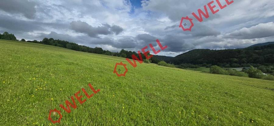 Teren agricol extravilan de 7940 mp, în Vama Buzăului