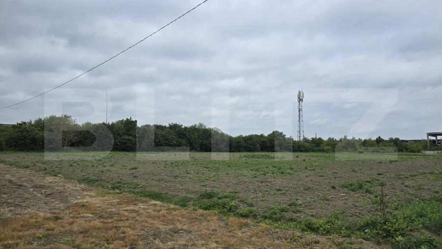 Teren Construcții extravilan de 5000 mp, în Lucian Blaga