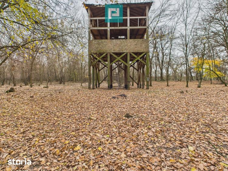 Teren de 5000 mp, în Periam