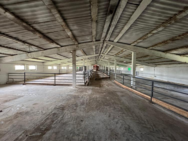 Proprietate specială, de 4,850 mp, în Vitănești