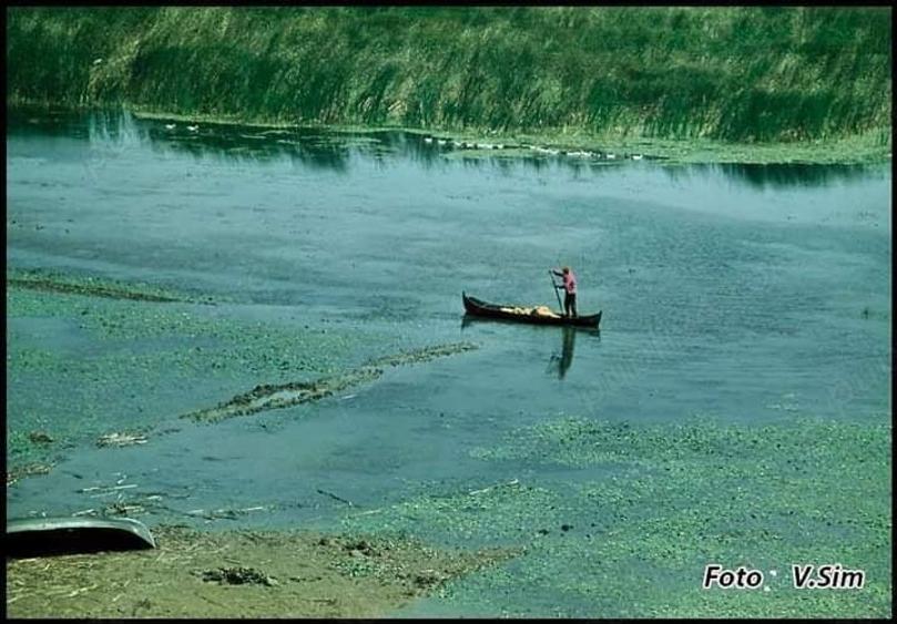 Teren de 50000 mp, în Comișani