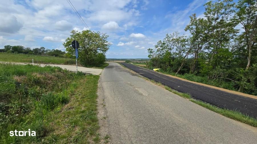 Teren intravilan Ardud Vii Satu Mare - 6