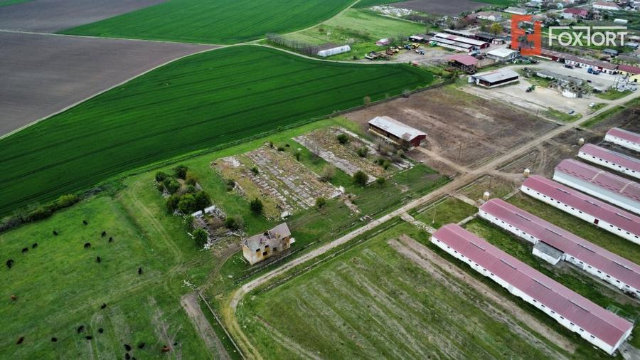 Teren Construcții intravilan de 58340 mp, în Sânmartinu Sârbesc
