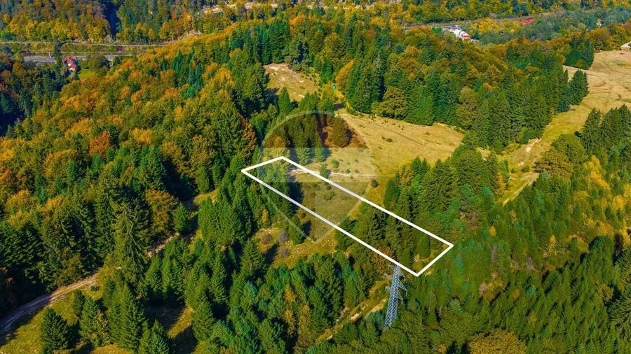 Teren Construcții intravilan de 2400 mp, în Timișu de Jos