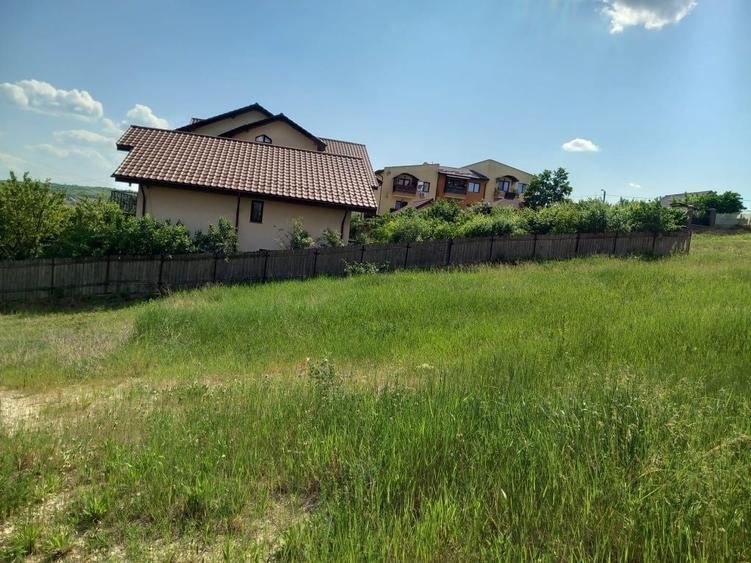 Teren de 450 mp, în Vișan
