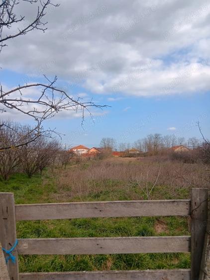 Casă în Tariverde