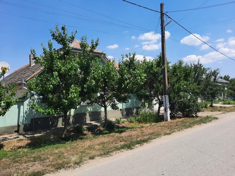 Casă cu 3 camere în Mișca