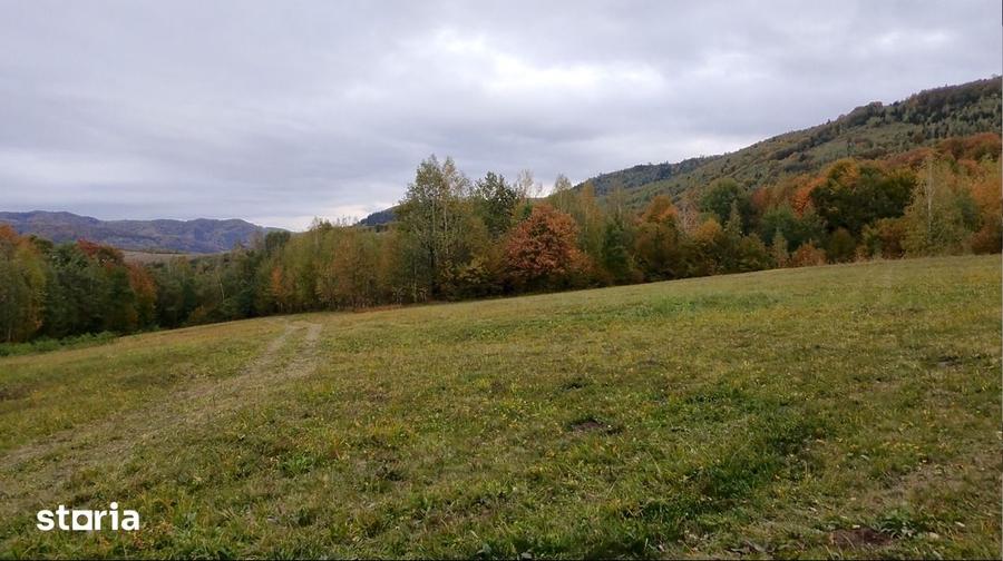 Teren de 18860 mp, în Șinca
