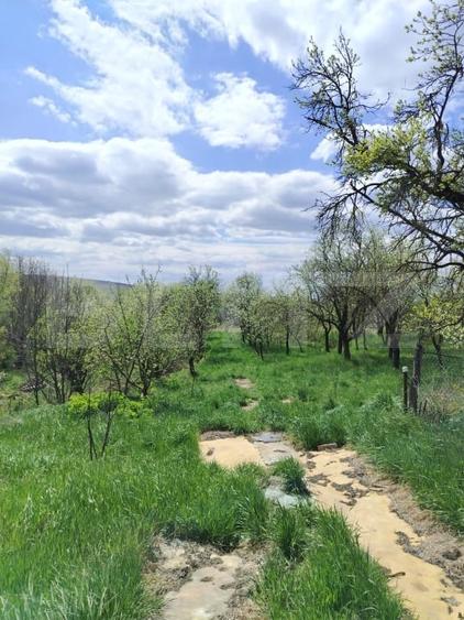 Casă individuală cu 2 camere cu Canalizare în Rediu