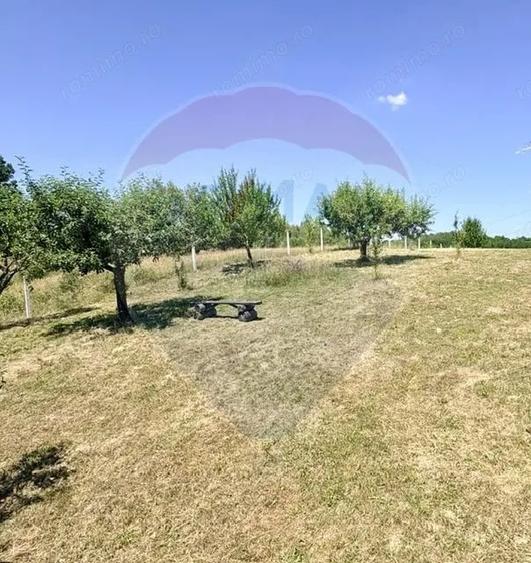 Casă cu Teren 3177 Mp în Ferești