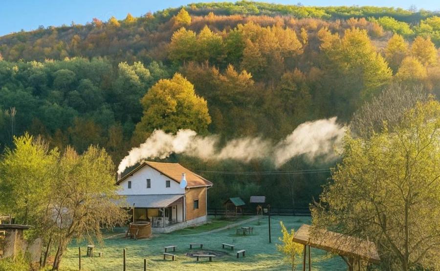 Casă cu Teren 2500 Mp în Techereu