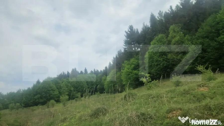 Teren în Dumbrăvița