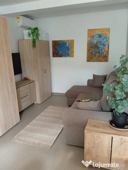 Apartament cu 2 camere semidecomandat în Sud