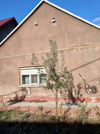 Casă cu 3 camere cu Teren 280 Mp în Sântion