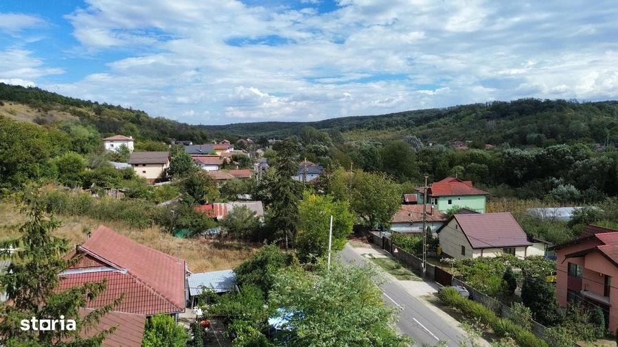 Spațiu comercial, în Leamna de Sus