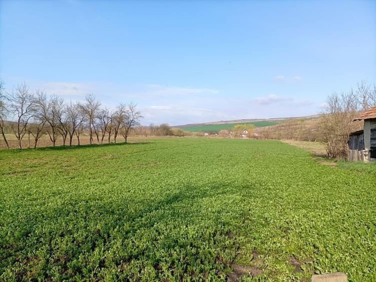 Teren Construcții intravilan de 3550 mp, în Răscruci