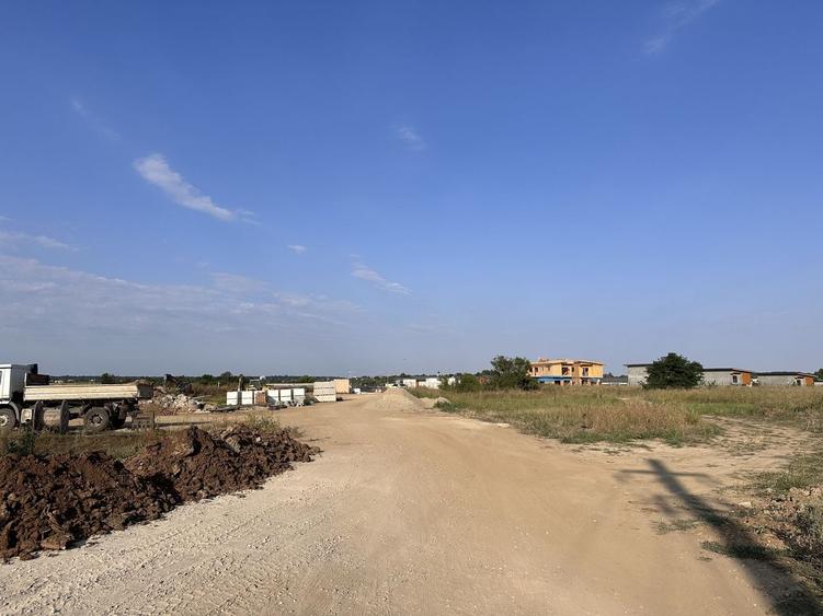 Teren Construcții intravilan de 3000 mp, în Tâncăbești