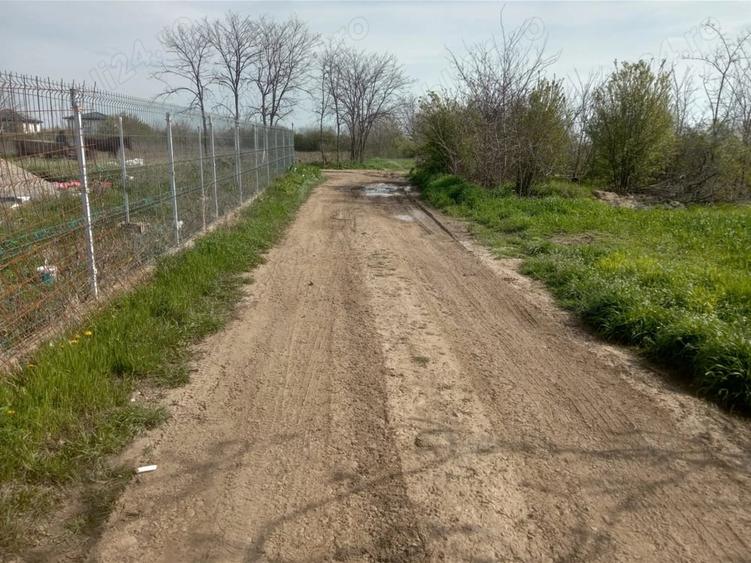 Teren de 5000 mp, în Afumați