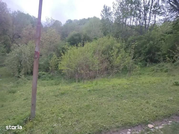 Spațiu comercial, în Adunați