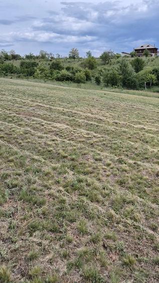 Teren de 1172 mp, în Sălciua Nouă