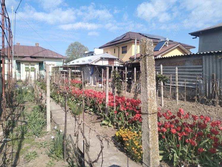 Casă cu Teren 800 Mp în Central