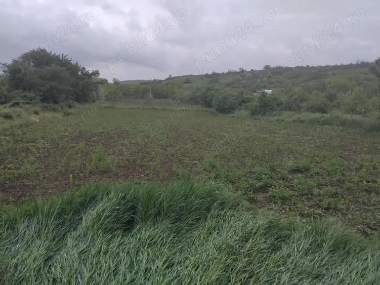 Teren de 3000 mp, în Central