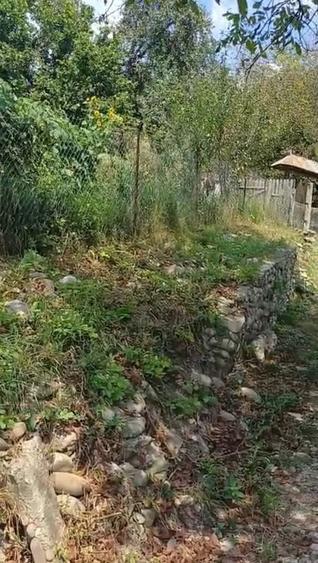 Casă în Central
