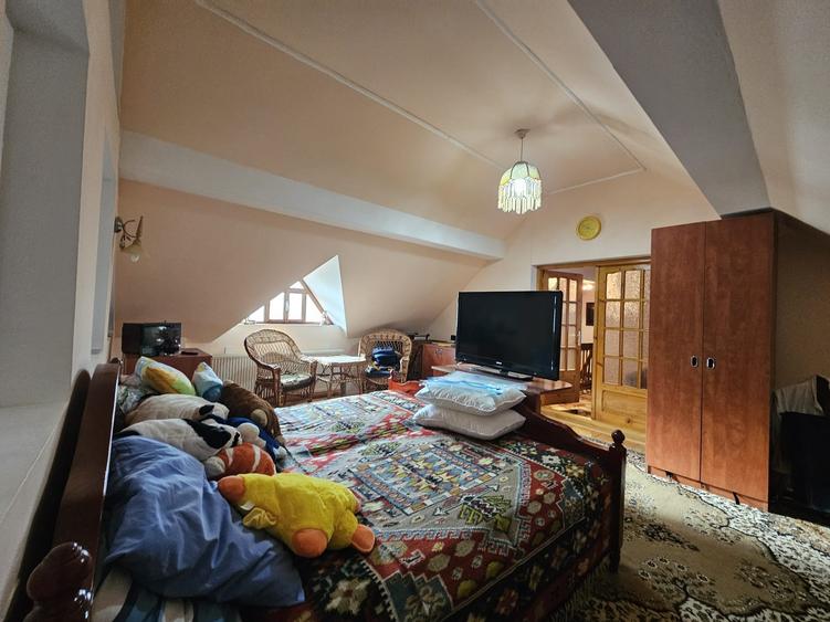 Casa Bacia, judet Hunedoara - 16