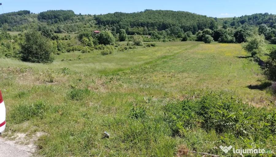 Teren de 7000 mp, în Bulzești