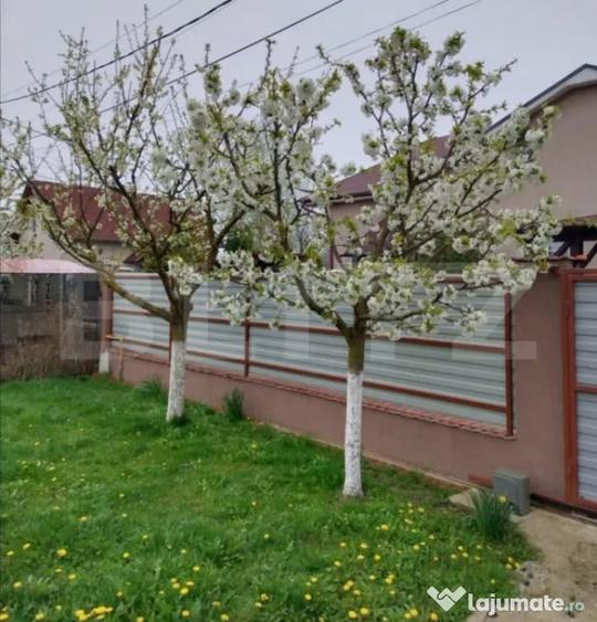 Casă cu 3 camere cu Teren 460 Mp în Ernei