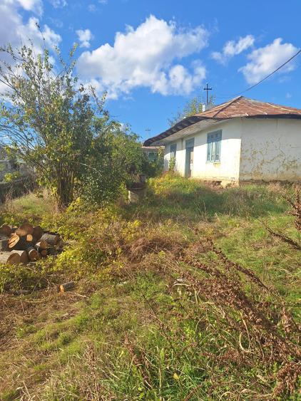 Teren agricol intravilan de 1000 mp, în Proselnici