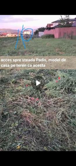 Gradina/ teren intravilan Micesti
