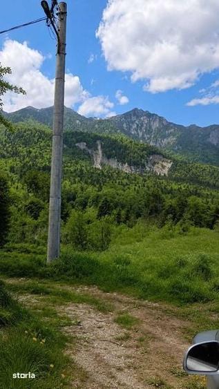 Teren de 1000 mp, în Cumpătu