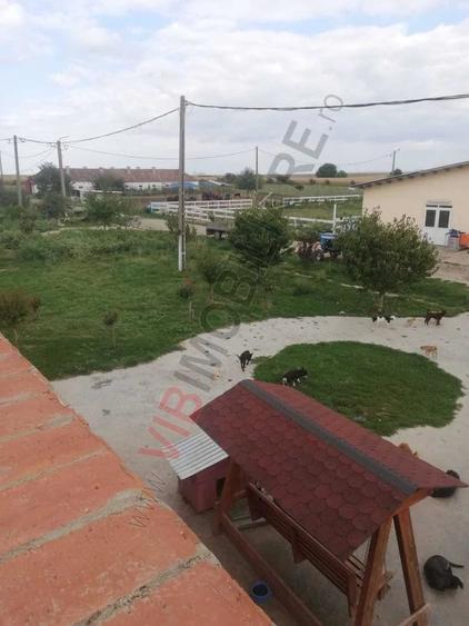 Ferma Zootehnica Satchinez, | 9,5 ha teren,vanzare sau schimb pentru jumatate din valoare - 1