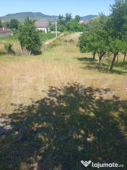 2000 MP TEREN INTRAVILAN IN ZONA VALEA GHINZII - 1