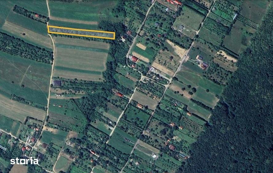 Teren extravilan 3200mp zona Tropinii Vechi - 3