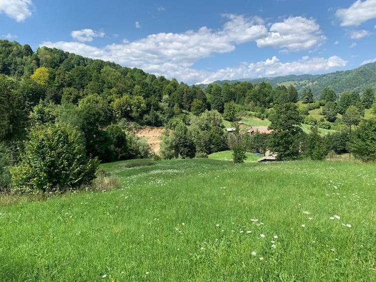 Teren de 40000 mp, în Diaconești