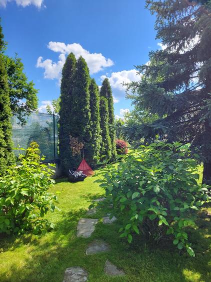 Casă individuală cu 6 camere cu Piscina în Snagov